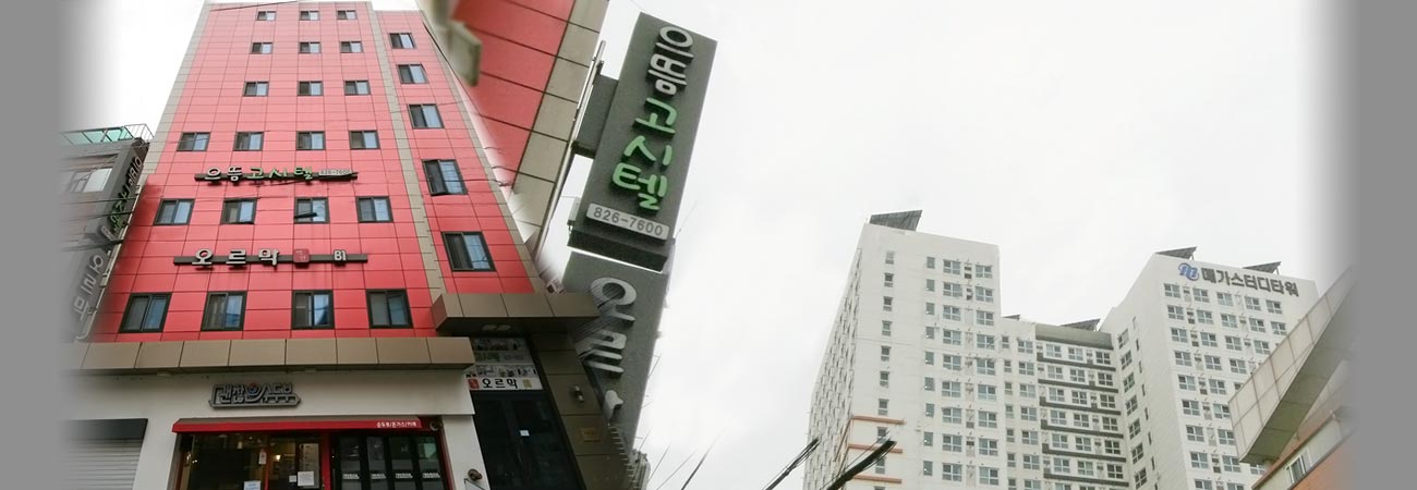 대표이미지6